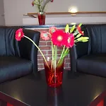 ホステル ユーゲントヘルベルゲ インターナショナル